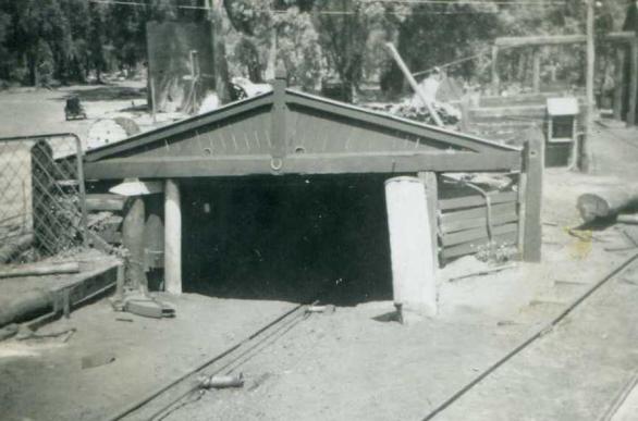 Mine shaft at Collie Cardif