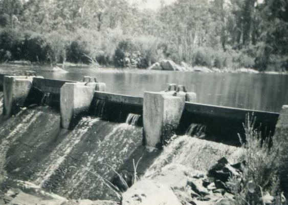 Ferguson Weir on the Collie River