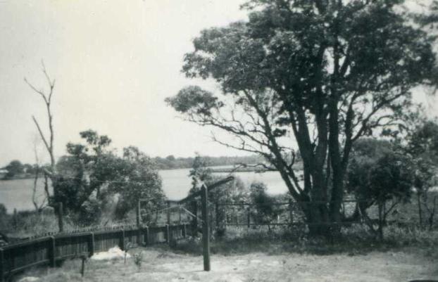 The back yard overlooking the river
