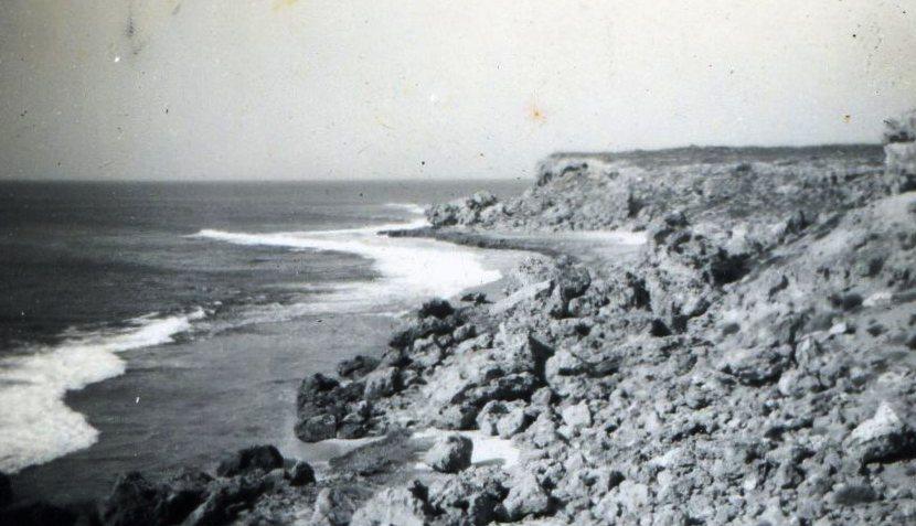 The coastline