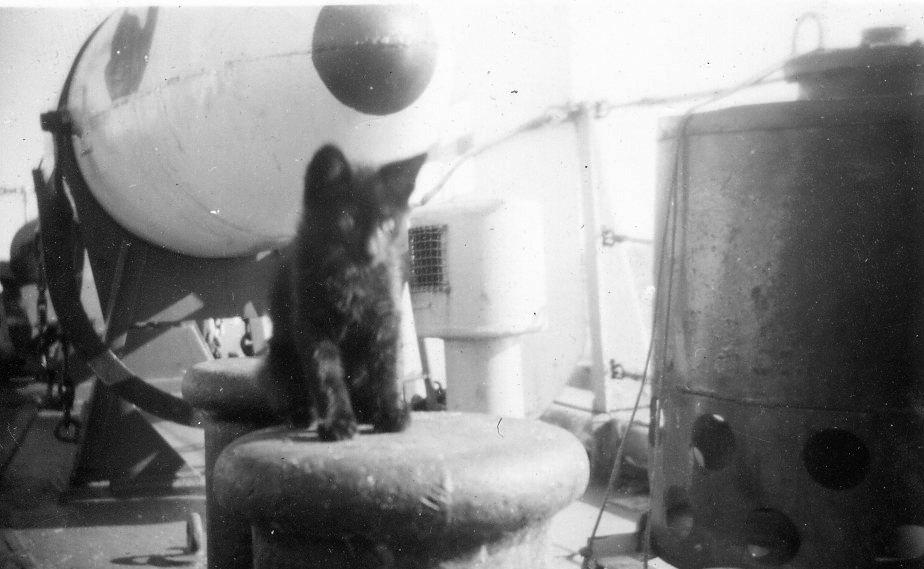 Ship’s mascot on bollard – large ‘drum’ to right is an anti-submarine depth-charge