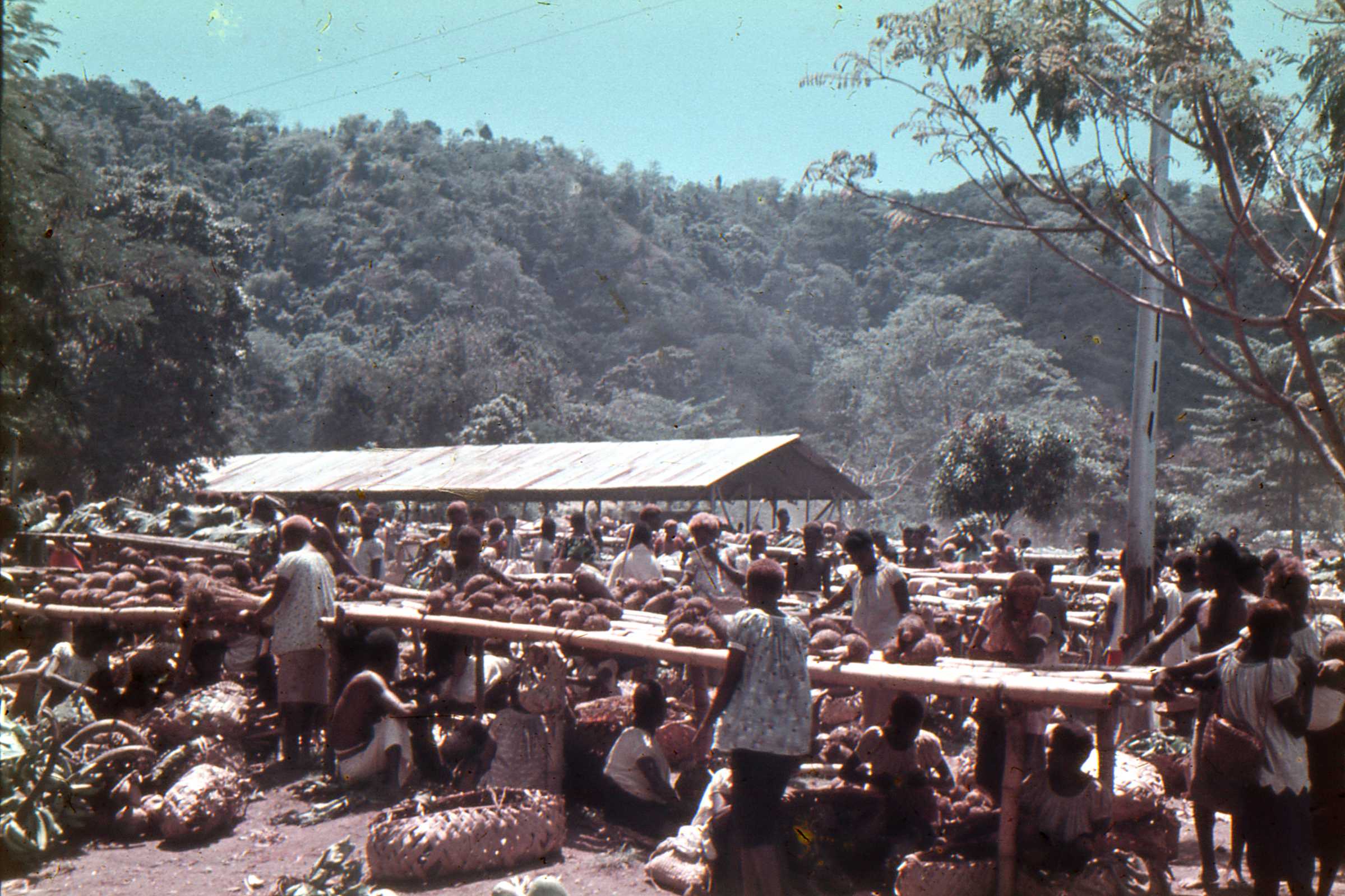 The Rabaul native market