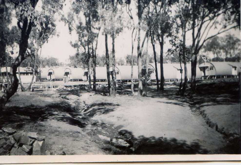 Delta Company lines