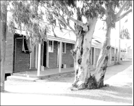 Barrack lines at School of Survey – luxury after Kapooka