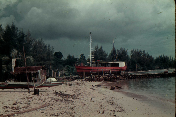 Harbour foreshore