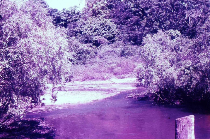 Cooktown – the Endeavour River