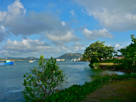 Cooktown harbour – Endeavour River estuary – about where Cook landed.